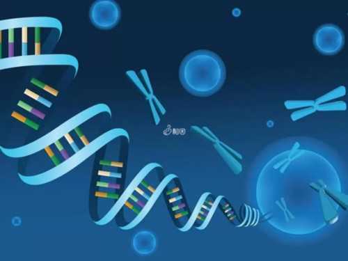 二代代生男孩费用揭秘：十万元预算是否足以？
